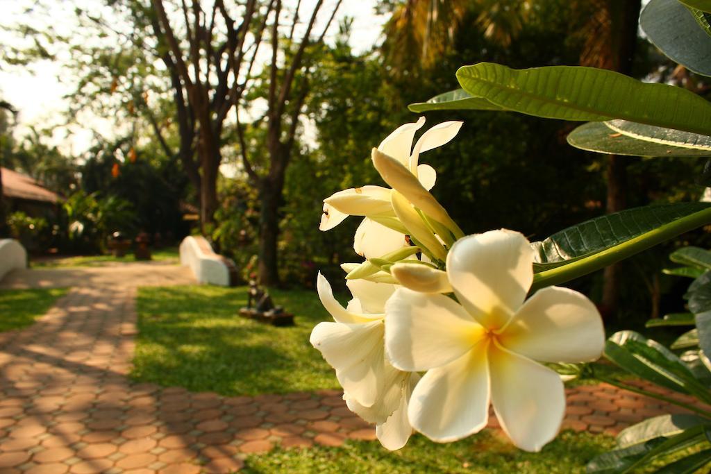 Secret Garden Chiangmai Hotel San Kamphaeng Luaran gambar